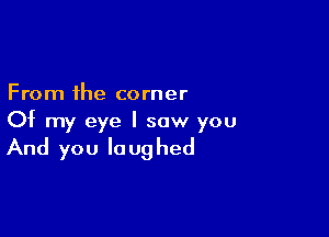 From the corner

Of my eye I saw you

And you laughed