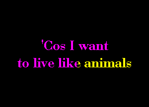 'Cos I want

to live like animals
