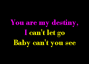 You are my desiiny,

I can't let go

Baby can't you see