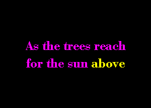 As the trees reach

for the sun above