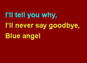 I'll tell you why,
I'll never say goodbye,

Blue angel