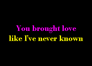 You brought love
like I've never known