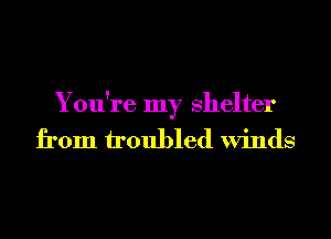 You're my shelter
from troubled Winds