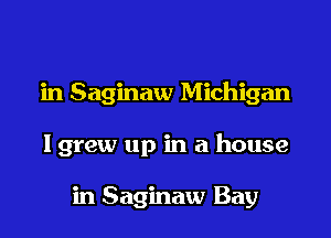 in Saginaw Michigan

lgrew up in a house

in Saginaw Bay