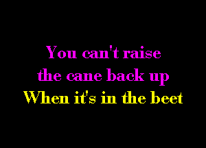 You can't raise
the cane back up
When it's in the beet

g