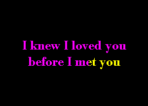 I knew I loved you

before I met you