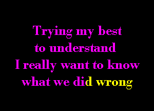 Trying my best
to understand
I really want to know

What we did wrong