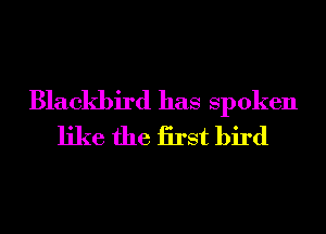 Blackbird has Spoken
like the iirst bird