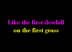 Like the iirst dewfall
0n the iirst grass