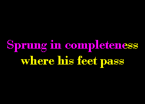 Sprung in completeness
Where his feet pass