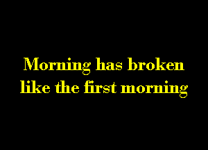 Morning has broken

like the iirst morning