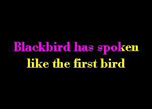 Blackbird has Spoken
like the iirst bird
