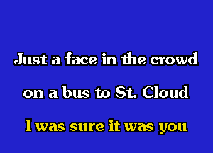 Just a face in the crowd

on a bus to St. Cloud

I was sure it was you