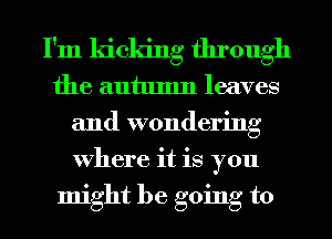 I'm kicking through
the autumn leaves
and wondering
Where it is you
might be going to