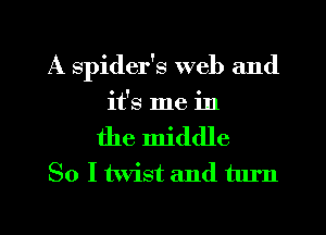 A spider's web and
it's me in
the middle
So I twist and turn