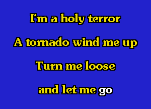 I'm a holy terror
A tornado wind me up

Tum me loose

and let me go
