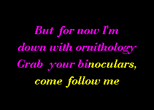 But for now 11m

down with ornithologf

Grab your binoculars,

come follow me