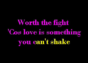 W orth the fight

'Cos love is something

you can't shake