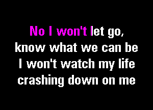 No I won't let go.
know what we can he

I won't watch my life
crashing down on me