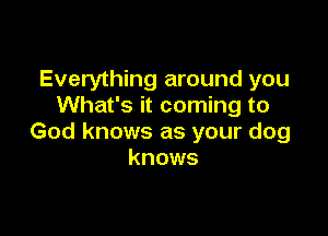 Everything around you
What's it coming to

God knows as your dog
knows