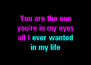 You are the one
you're in my eyes

all I ever wanted
in my life