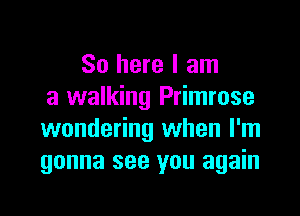 So here I am
a walking Primrose

wondering when I'm
gonna see you again