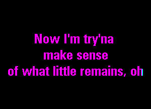 Now I'm try'na

make sense
of what little remains, oh