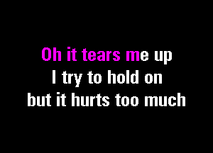 Oh it tears me up

I try to hold on
but it hurts too much