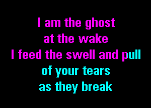 I am the ghost
at the wake

I feed the swell and pull
of your tears
as they break