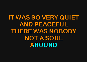 IT WAS 30 VERY QUIET
AND PEACEFUL

TH ERE WAS NOBODY
NOT A SOUL
AROUND