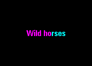 Wild horses