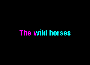 The wild horses