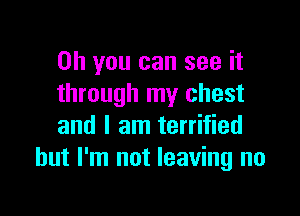 Oh you can see it
through my chest

and I am terrified
but I'm not leaving no