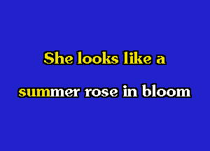 She looks like a

summer rose in bloom