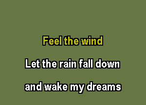 Feel the wind

Let the rain fall down

and wake my dreams
