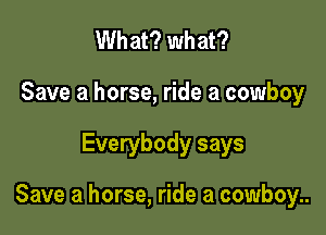 What? what?
Save a horse, ride a cowboy

Everybody says

Save a horse, ride a cowboy..