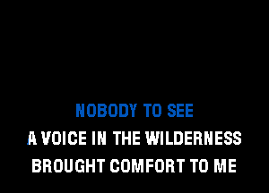 NOBODY TO SEE
A VOICE IN THE WILDERNESS
BROUGHT COMFORT TO ME
