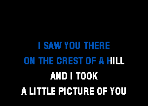 I SAW YOU THERE
ON THE CREST OF A HILL
AND I TOOK
A LITTLE PICTURE OF YOU
