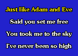 Just like Adam and Eve
Said you set me free
You took me to the sky

I've never been so high