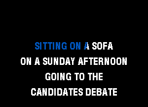 SITTING ON A SOFA
ON A SUNDAY AFTERNOON
GOING TO THE
CANDIDATES DEBATE