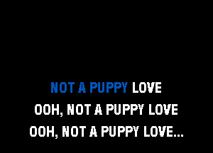 NOT A PUPPY LOVE
00H, NOT A PUPPY LOVE
00H, NOT A PUPPY LOVE...