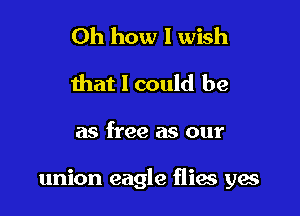 Oh how I wish
that 1 could be

as free as our

union eagle flies ya