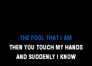 THE FOOL THRT I AM
THEN YOU TOUCH MY HANDS
AND SUDDEHLY I KNOW