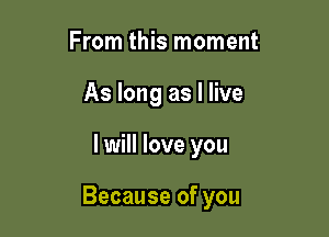 From this moment
As long as I live

I will love you

Because of you