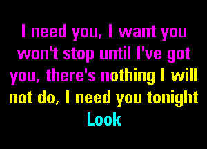 I need you, I want you
won't stop until I've got
you, there's nothing I will

not do, I need you tonight
Look