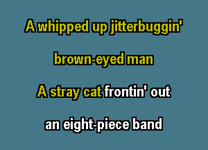 A whipped up jitterbuggin'

brown-eyed man
A stray cat frontin' out

an eight-piece band