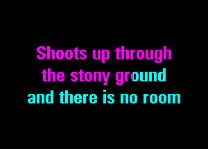Shoots up through

the stony ground
and there is no room