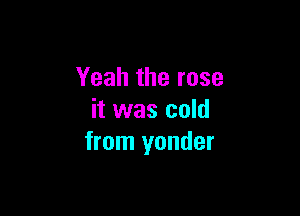 Yeah the rose

it was cold
from yonder