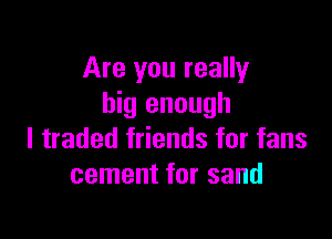 Are you really
big enough

I traded friends for fans
cement for sand