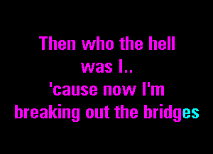 Then who the hell
was l..

'cause now I'm
breaking out the bridges